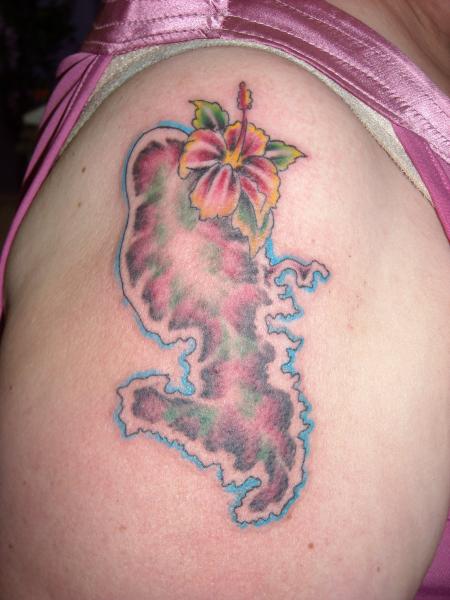 l'&icirc;le fleur
